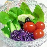 ベビーリーフと紫キャベツのサラダ